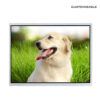 12.1 Inch Square TFT LCD Display 1024x768 20PIN LVDS