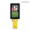 1.9 Inch 170x320 RGB TFT Display 12PIN 24Pin 30PIN MIPI SPI ST7789 LCD Module Panel with Customizable CTP From Factory