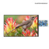10.1 Inch TFT Screen Module Display Driver Board Low Power Consumption 380nit Brightness 1920x1200 Resolution MIPI Interface