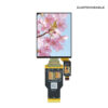 2.4 Inch AMOLED Display Screen 2.4Small IPS Touch LCD Modules with 450x600 MIPI MCU SPI RGB