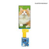 6.0 Inch Square TFT LCD 480x960 3SPI-RGB18 BIT ST7701S With Playback Board
