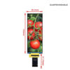 BOE 6.2 Inch 480x1280 SPI3W+RGB18BIT TFT LCD Display Module JD9265T Driver 16.7M All View Angle A-Si Screen