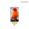 4.02 Inch Square TFT LCD 640x1136 MIPI NV3051F