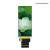 3.4 Inch Square TFT LCD 412x960 MIPI ST7701S With Playback Board